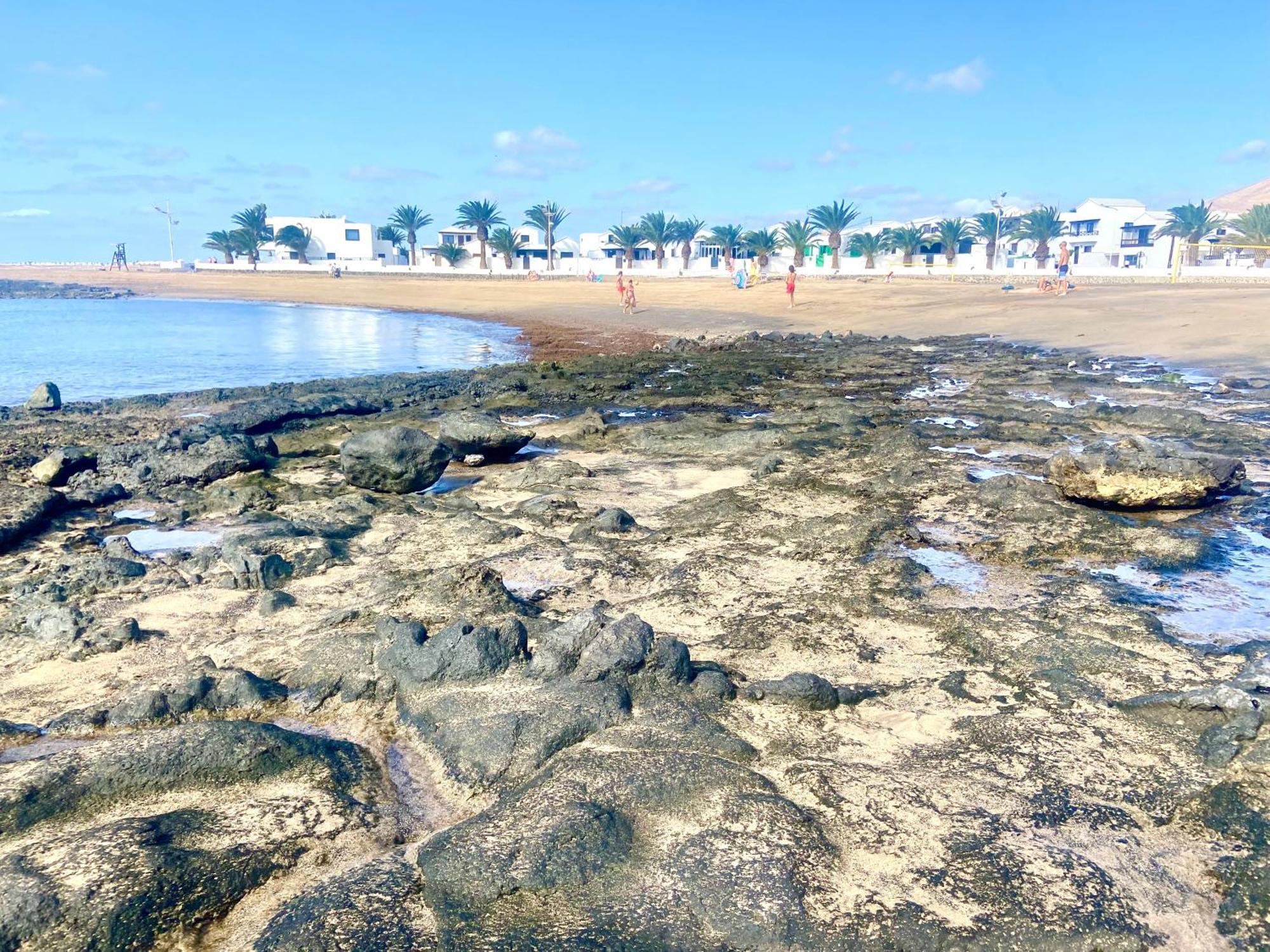 דירות פלאיה הונדה Lanzarote Mar Y Playa מראה חיצוני תמונה